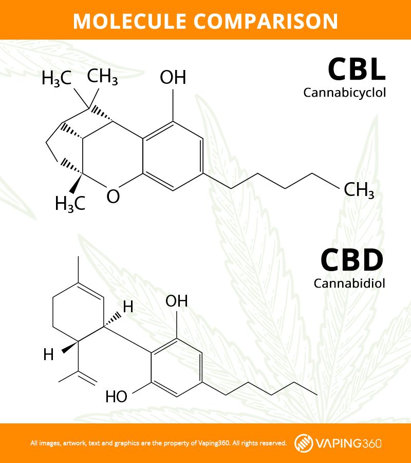 cbl-vs-cbd.jpg