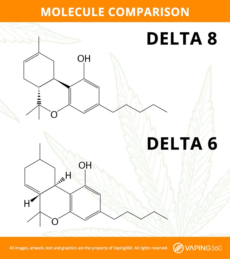 comparison of the delta 8 and delta 6 molecular structure