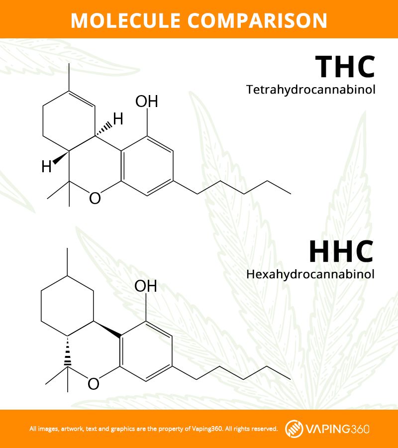 thc vs hhc molecule comparison infographic