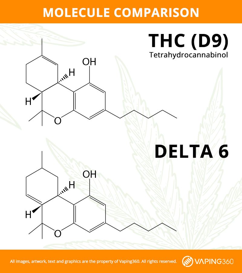 comparison of the THC-D9 and Delta 6 molecular structure