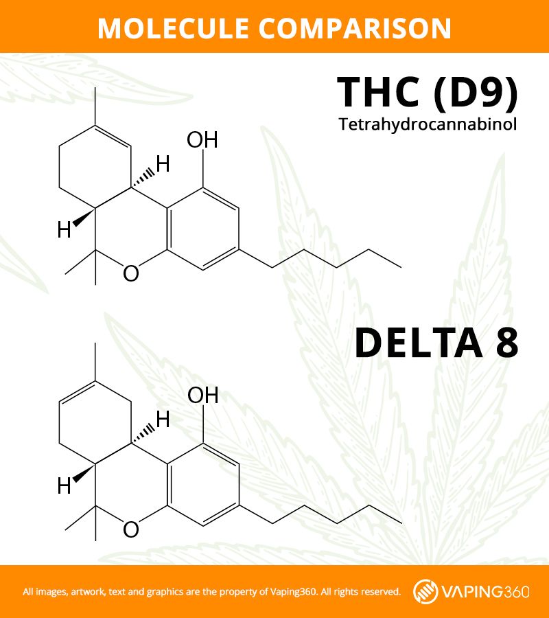 thc-vs-delta-8-infographic-revised.jpg