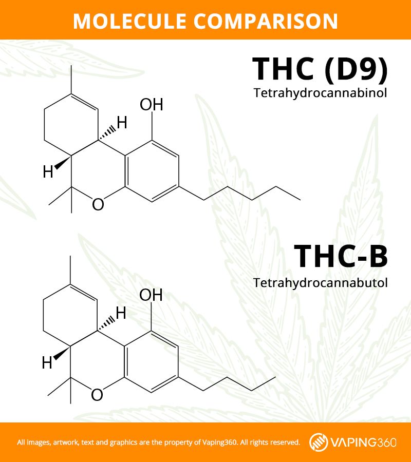 comparison of THC-D9 and THC-B molecular structures