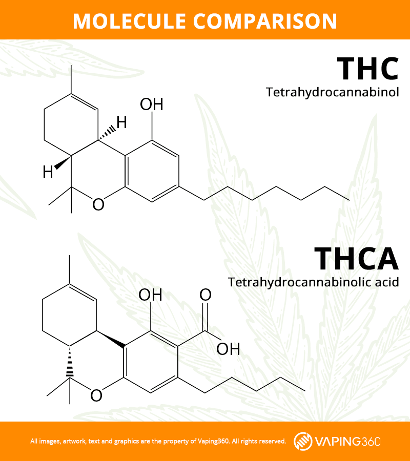 thca vs thc molecule infographic